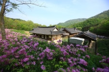 [순천] 전통 야생차 체험관  / [Suncheon] The Traditional Wild-Tea Experience Center ※ [사진제공_한국관광공사] photo by 김지호. 본... 