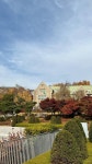 이화여자대학교 Ewha Womans University 서울특별시 서대문구 이화여대길 Seoul, Korea ©️ only_for_ganzii