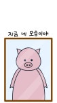 지금 네 모습이야...