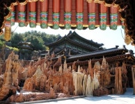 대한민국 재단법인 대진교육재단에 있는 이 선감님의 핀 - 2021