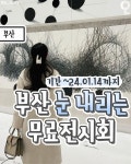 서울+근교 이색찜질방 모음🔥 1.파라다이스시티씨메르 📍인천 중구 영종해안남로321번길 186 🚗서울시청기준 1시간 2분 ⏰10:00-21:00... 