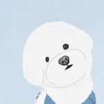 6 Dogs에 있는 핀 - 2024
