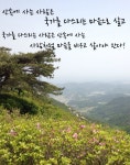 가장 좋아하는 ...   참~ 많은 의미가 담겨있는....... 2014.05.16 황매산의 여름...
