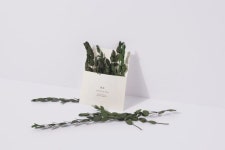 Single Basic 01 - 봄담아