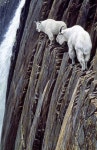 TRAVEL ☆에 관한 17개의 최상의 Pinterest 이미지 | 아름다운 장소, 여행지 및 Paisajes TRAVEL ☆