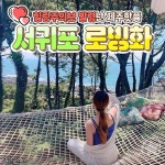 #서귀포카페 #제주맛집 #로빙화 . 힐링주의보 발령난 제주핫플‼️ 해먹에 누워서 오션뷰라니 완전 천국이야💕😆 감성적인... 