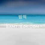 빠른 저장에 있는 핀