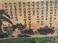 design2에 있는 시영 박님의 핀