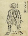 경락도에 있는 핀
