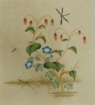 [민화기초 초충도 2] 10. 선 마무리 (완성)