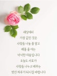 좋은 아침 인사와 함께하는 손글씨 명언 | 귀여운 손글씨, 감사하는 마음, 아침 사진