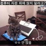 좋아요 122개, 댓글 3개 - Instagram의 마마캣(@mamacat_official)님: 냥아치!! | 고양이, 웹툰, 행복한