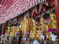 Pin page Pin by 지안 Roh on 나무관세음보살~♥ | Fair grounds, Crown jewelry, Jewelry