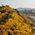 Pin on 통합마케팅의 서울 풍경(Seoul cityscape of Korea)