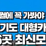 나옴 - #가디온 #콰트로박스 #파르코니도 #브루다양주 #레드브리끄... 나옴   - #가디온 #콰트로박스 #파르코니도 #브루다양주 #레드브리끄... 