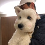 #댕댕이 #강아지 #멍스타그램 #반려견 #dog #일상 #puppy #dogstagram #멍멍이 #펫스타그램...  우리 살구 볼터치 했어용... 