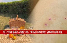 복지에 있는 핀