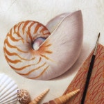 수채화 illustrator에 있는 핀