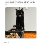 야식으로 배달 삼겹살 시켰는데 너무 부담스러웠어요