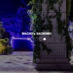 machos.sachunki 플랜테리어 planterior machos.sachunki 플랜테리어 planterior | Green life, Macho, Plants