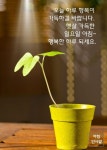 햇살 가득한 일요일 아침~