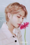 MJ (엠제이) MJ (엠제이) | สามีในอนาคต, นักร้อง, มีมตลกๆ
