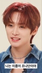 #skz #straykids #leeknow #minho #리노 # 이민호 #lino