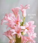 좋은 인연인 당신을 만나 행복합니다 | 인간 관계, 사진, 재미있는 문구