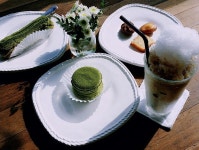 14113명이 방문하고 싶어하는 제주도 맛집 마마롱의 평점은 4.2/5점 입니다. 마마롱의 리뷰, 영업시간, 그리고 비슷한 레스토랑을 알아보세요....