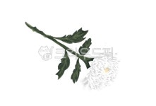 크라우드픽 - 저작권 걱정 없는 상업용 이미지