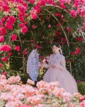 뽐내는 아랑한복❣️ 백만송이 장미원에서 가장 화려한 장미는 한복을 입은 소녀님이 아니었을까요 여름이 되어 갈수록 하늘하늘한… | Instagram