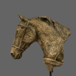 Pin page Konie에 있는 핀