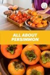 All About Persimmons and Persimmon Varieties  |  감: 단감과홍시 🍅🍂 | 감