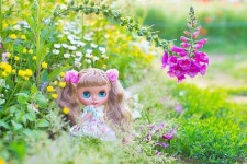 167 Likes, 15 Comments - sintoybox (@sine1015) on Instagram: “체리쨩 #blythe”