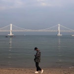 민간인(진) | Golden gate bridge, Bay bridge, Golden gate