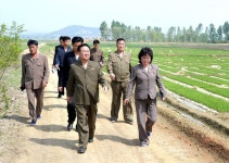 최룡해동지 평원군 원화협동농장 현지료해