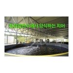 캠핑차박 낚시대대여 암반수손맛낚시터 주말낚시이벤트 - 옥션 - 2020