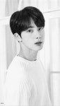 Jin_ 진