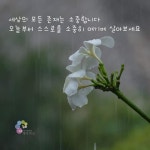 Pin oleh 창심 di 희망세상만들기