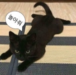 놀아줘