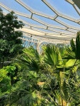 Pin page #seoul botanic park #green #greenhouse #서울특별시 #botanic #botanic garden #garden #plants #flowers #art #beauty... 