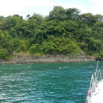 고창복분자 _ 해풍복분자 _ 복분자에 있는 고창흙쟁이님의 핀