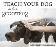 K9 Training에 관한 9개의 최상의 Pinterest 이미지 | 강아지, 애완동물 및 개 훈련 K9 Training