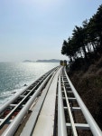 📍 Haeundae Blueline Park 해운대블루라인파크 #Cheongsapo #청사포 #Beach #photography #koreatravel #Explore... 