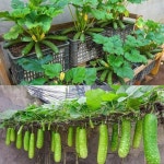 Pin by 경숙 조 on 작은농장 in 2024 | Green tips, Seasonal garden, Blossom