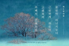 좋은 글귀_힘이 되는 성경구절 | 성경 구절, 성경, 손글씨 문구