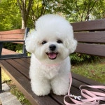 CUTENESS OVERLOAD에 있는 diana angelica criss님의 핀 - 2021