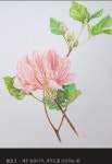 색연필 1 (colored pencil)에 있는 BongAe Song님의 핀 | 색연필