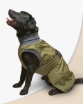 Pin by 의현 장 on 강아지 in 2023 | Dog clothes, Dog accessories, Pet store