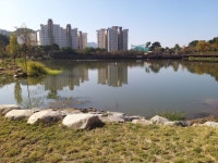 사진방에 있는 인순님의 핀 - 2023